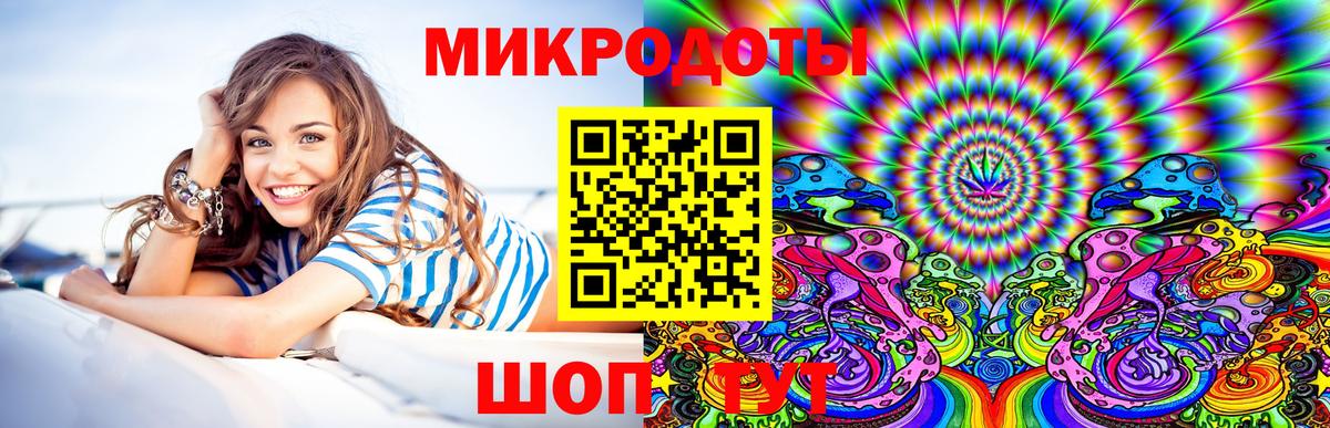 Псилоцибиновые грибы Psilocybe Гагарин