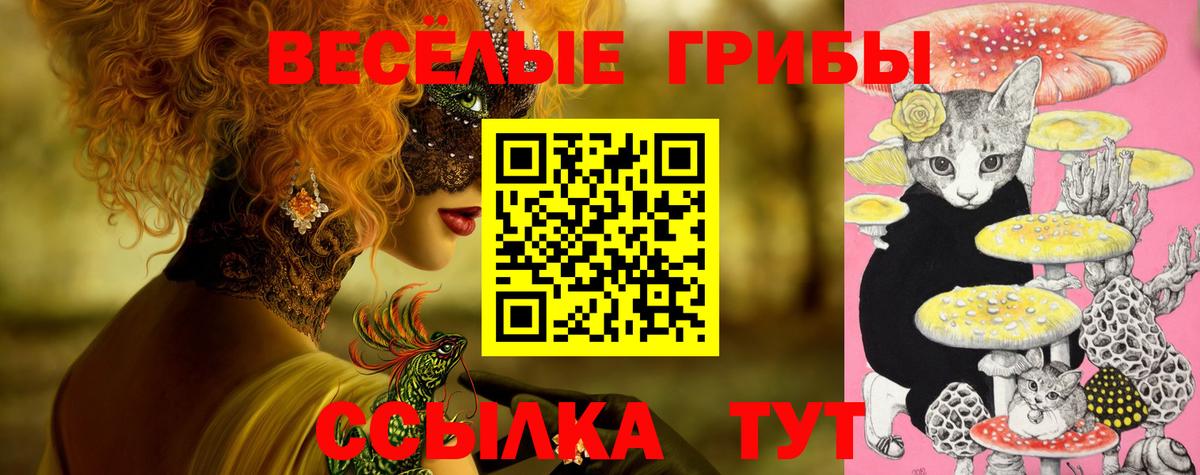 Гагарин  Галлюциногенные грибы Magic Shrooms  Вход с VPN 